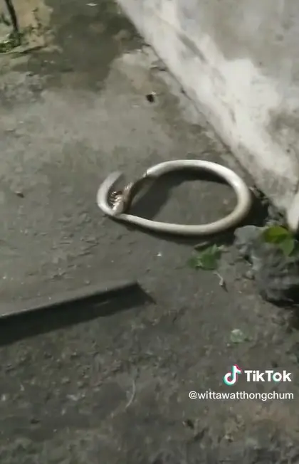 -3