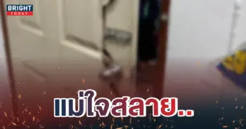 หน้าปกใหม่-ลูกผูกคอดับ