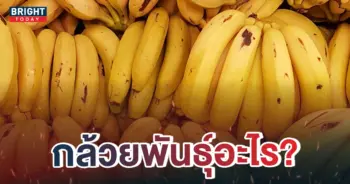 เด็กแอบกินกล้วย