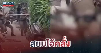 คลั่งไล่แทงคน