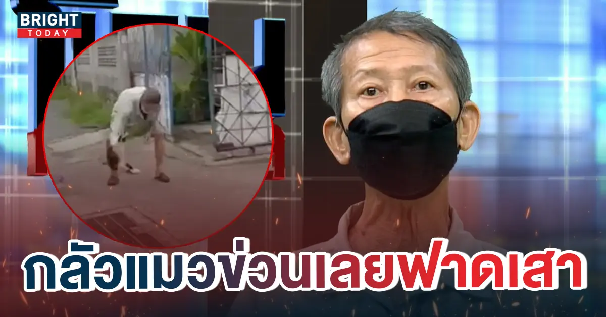 ลุงฟาดแมว-2