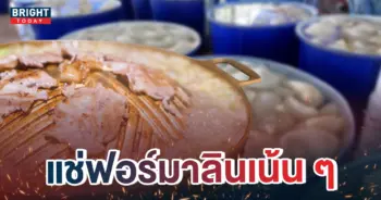 -เนือ้สัวต์แช่ฟอร์มาลิน
