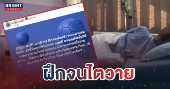 -ฟอกไต-6
