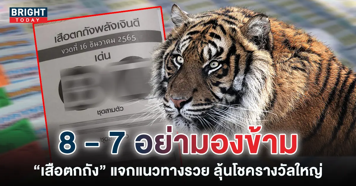 เสือตกถังพลังเงินดี-16-12-65-หวยงวดนี้-เลขเด็ด