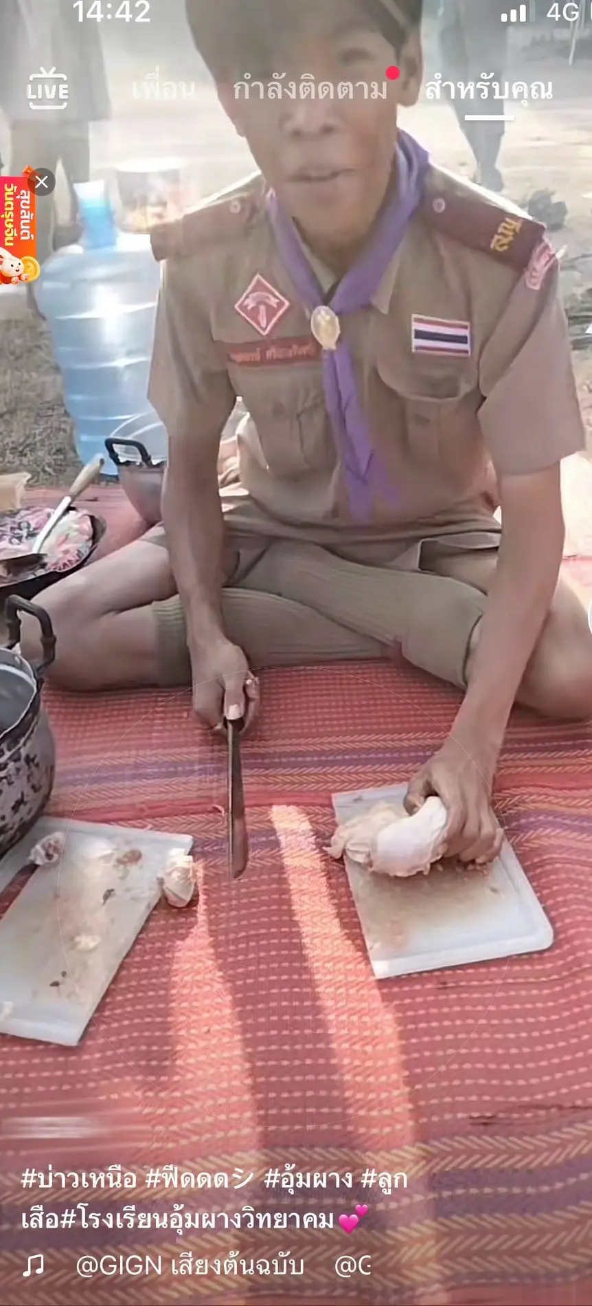 ลูกเสือ