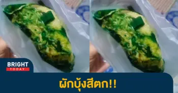 7ผักบุ้งสีตก
