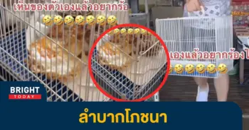 อาหาร1