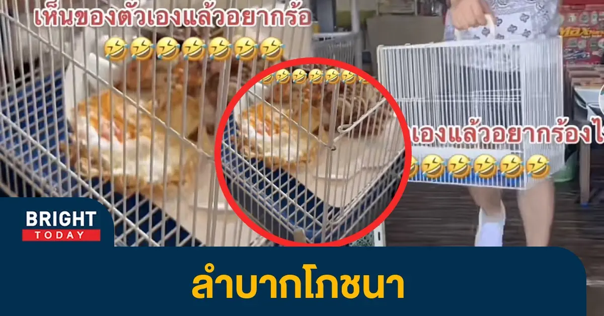 อาหาร1