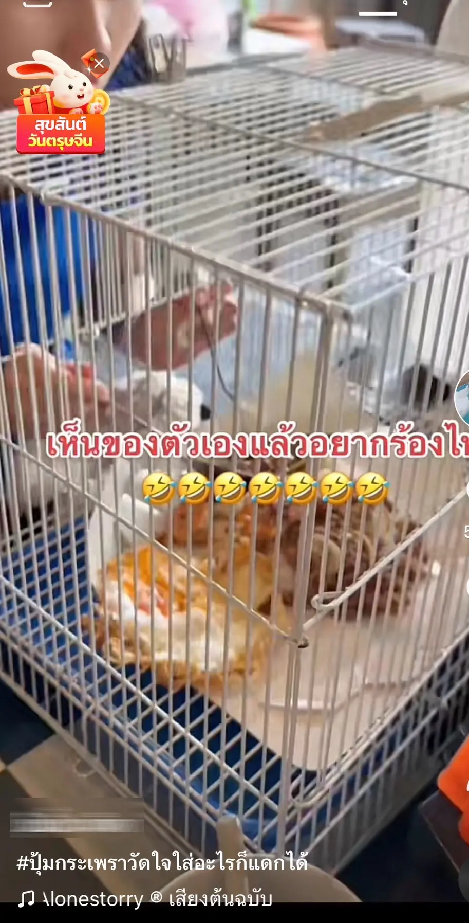 กะเพรา-2