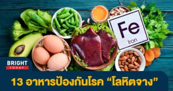 เหล็ก