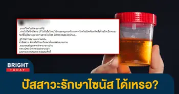 หน้าปกไบรท์-ปัสสาวะ-รักษาไซนัส