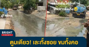 รถไถเสยรถสูบส้วม