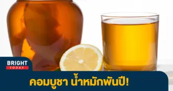 คอมบูชา