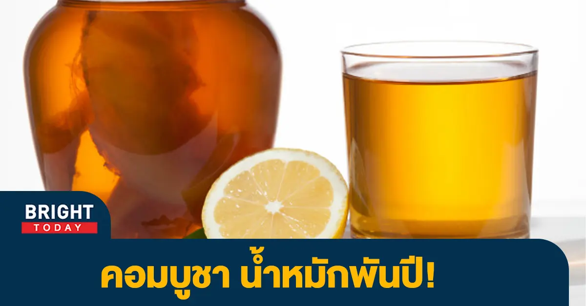 คอมบูชา