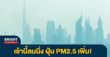 ฝุ่น-1