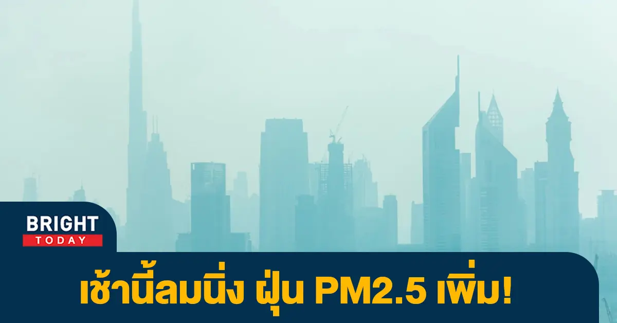 ฝุ่น-1