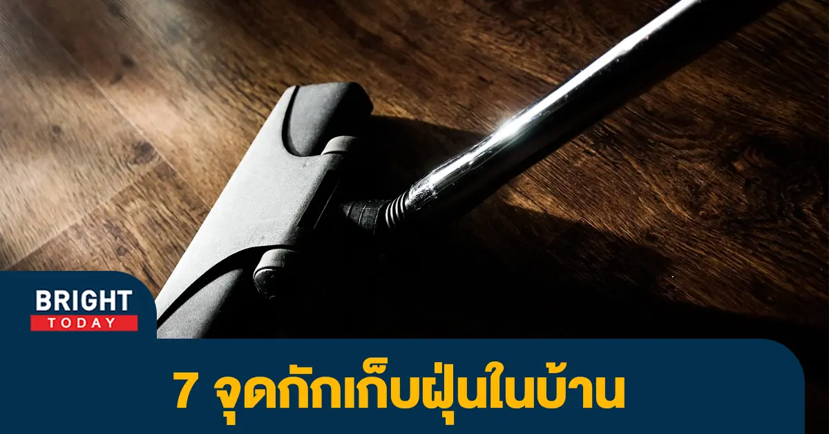 ฝุ่น