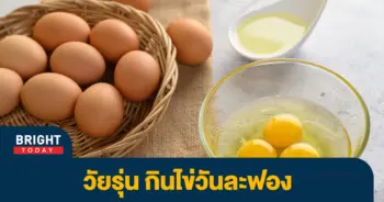 ไข่
