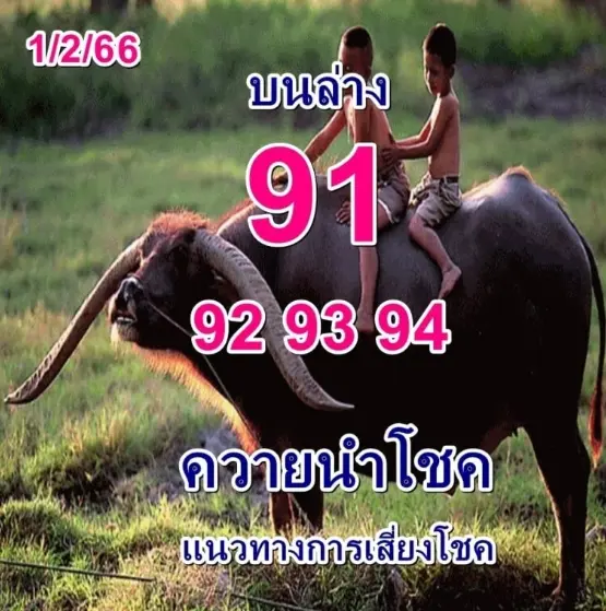 หวยงวดนี้-1-2-66-เลขเด็ด-ควายนำโชค-เลขดังงวดนี้