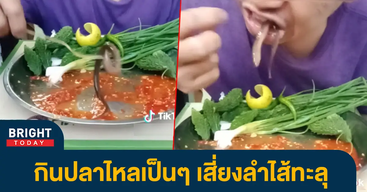 กินปลาไหลดิบ