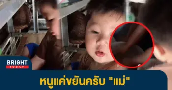 หนูขยัน1