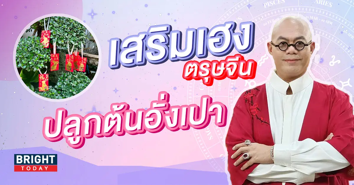 ปลูกต้นอั่งเปา-ตรุษจีน-2566