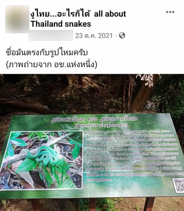 อุทยานใช้รูปงูผิด-1