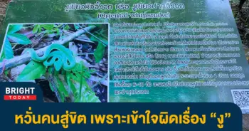 อุทยานใช้รูปงูผิด