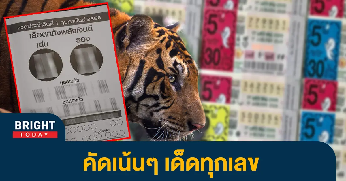 เสือตกถังพลังเงินดี-1-2-66-2