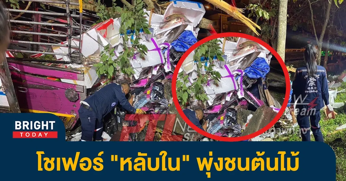 โชเฟอร์1