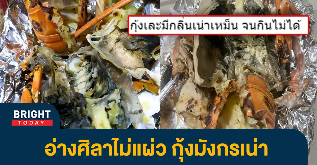 2กุ้งมังกร-1