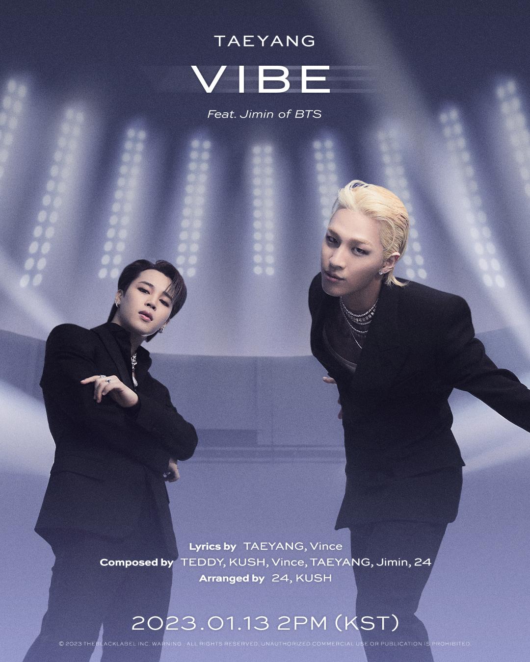 1673594467 94016 2023 TY VIBE CREDITPOSTER fin