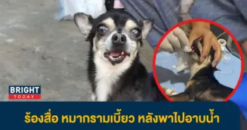 กรามเบี้ยว1