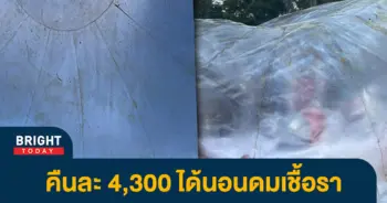 หน้าปกไบรท์รีวิวที่พักเชียงใหม่