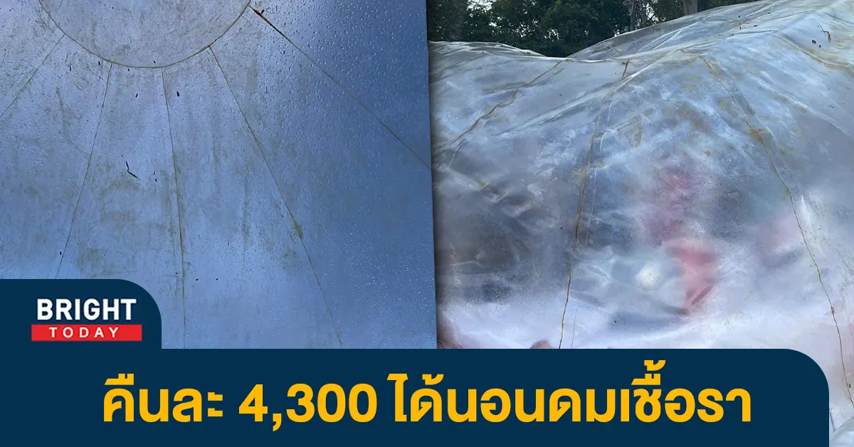 หน้าปกไบรท์รีวิวที่พักเชียงใหม่