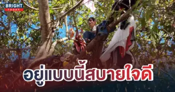 5มนุษย์ต้นไม้