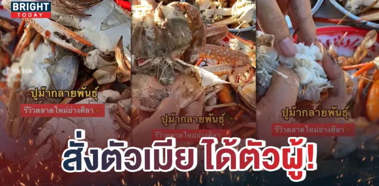 หน้าปกใหม่-โดนสลับปู