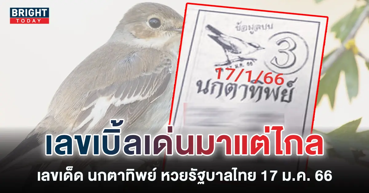 เลขเด็ด-นกตาทิพย์-17-1-66-หวยงวดนี้-หวยรัฐบาล-1