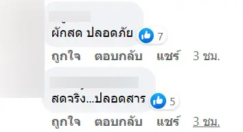 สลัดผักแถมหนอน-5