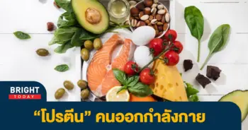 โปรตีน-1