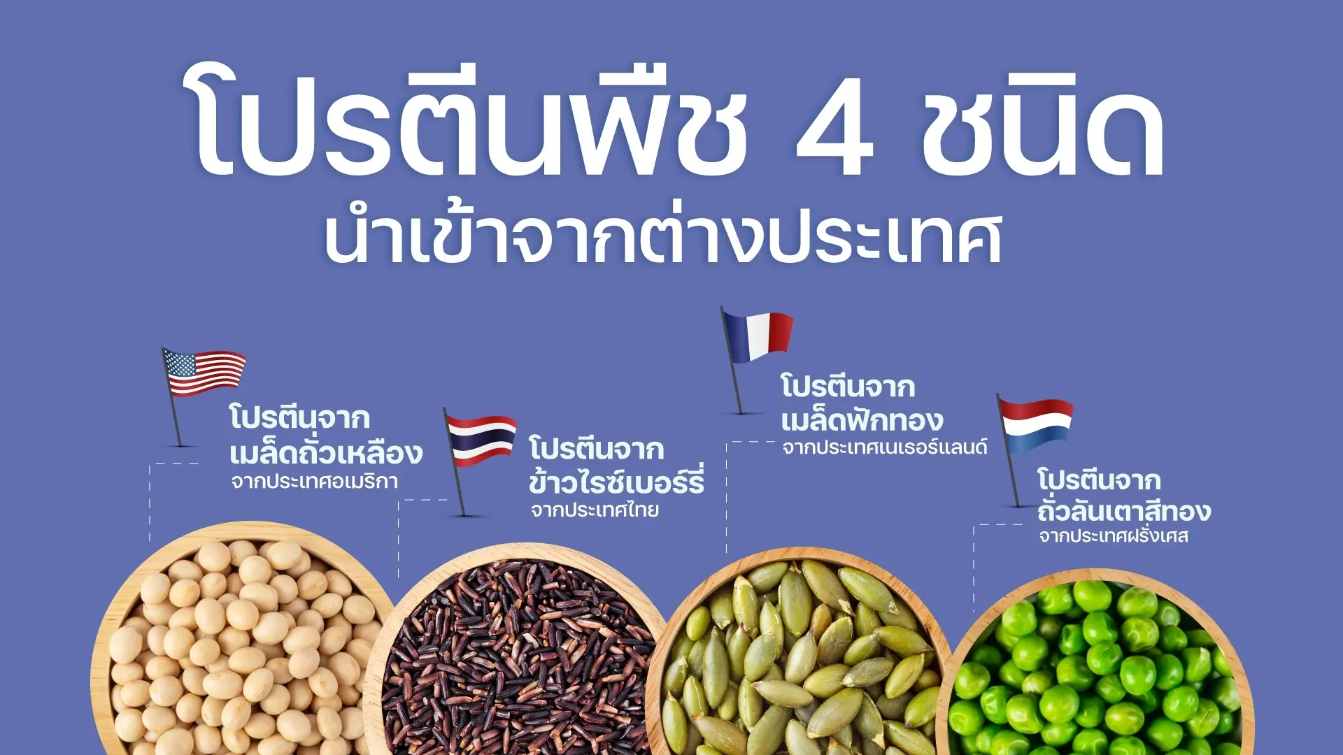 แหล่งโปรตีน