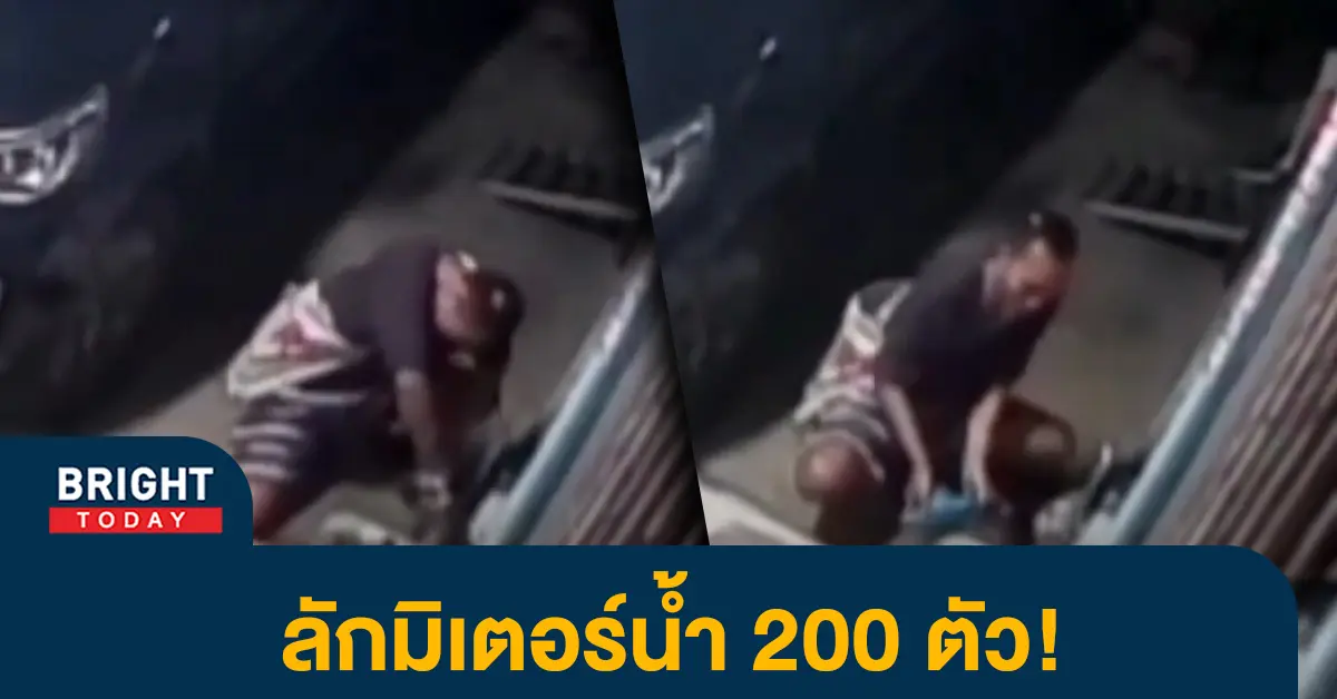 -ลักมิเตอร์