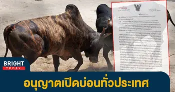 บ่อนไก่