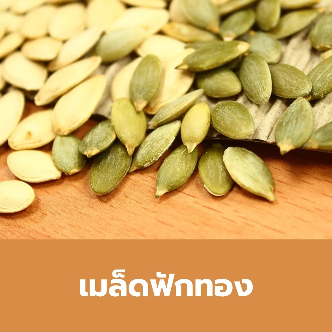 ฟักทอง