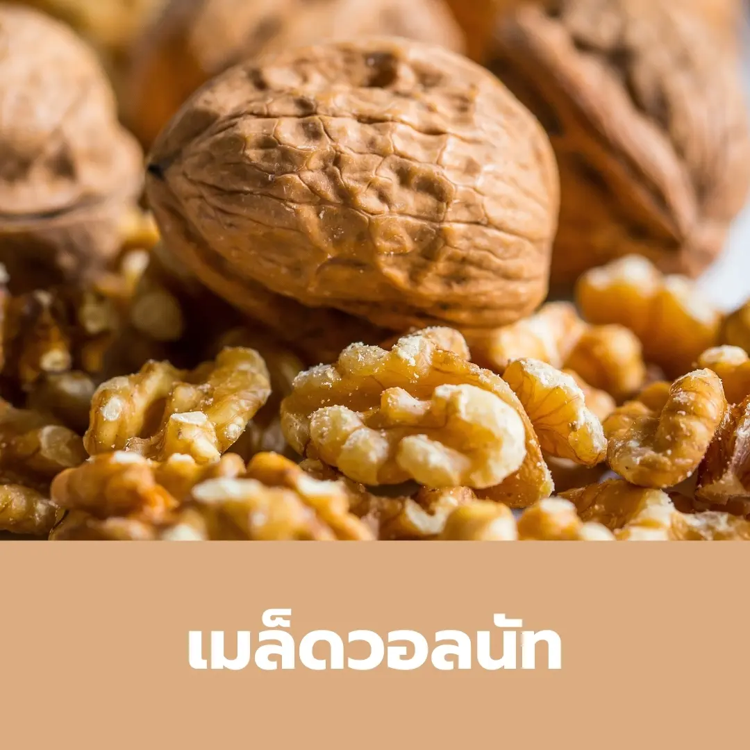 วอลนัท