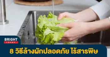 .jpg