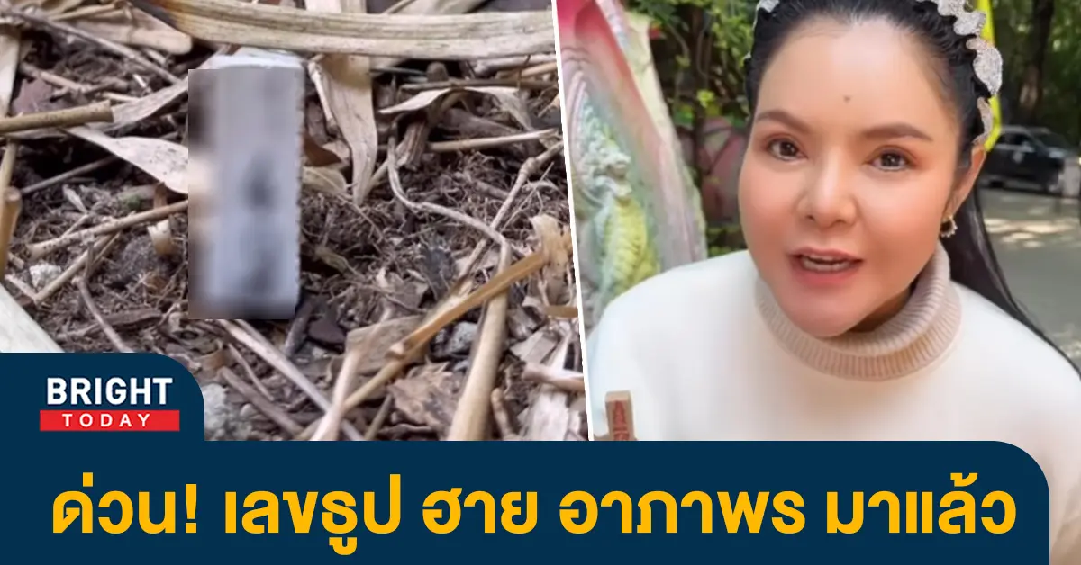 ฮาย-2