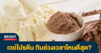 เวย์โปรตีน