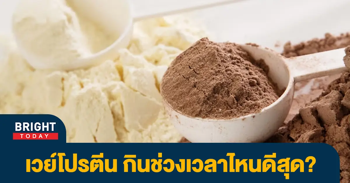 เวย์โปรตีน