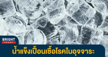 โรงงานน้ำแข็ง
